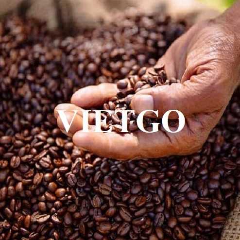 Cơ hội hợp tác xuất khẩu cà phê Arabica sang thị trường Ai Cập