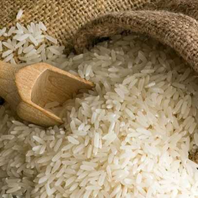 I am looking for rice suppliers