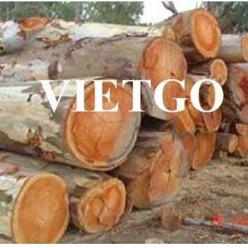 Cơ hội hợp tác xuất khẩu gỗ bạch đàn tròn tới thị trường Ấn Độ