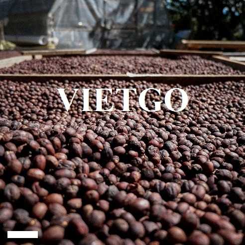 Cơ hội hợp tác xuất khẩu quả cà phê phơi khô sang thị trường Indonesia và Trung Quốc 