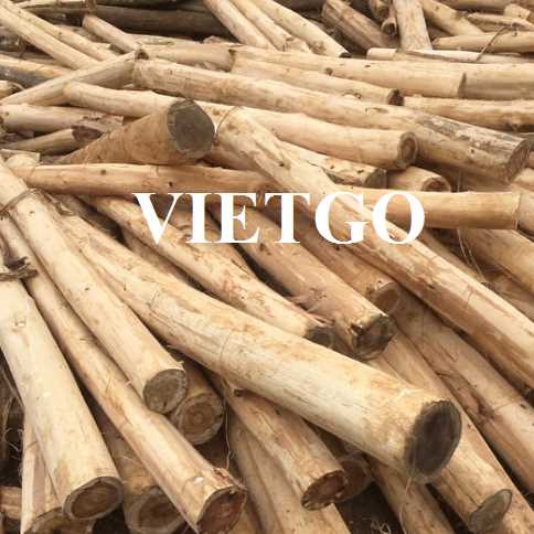 Thương vụ xuất khẩu gỗ keo tròn đến thị trường Ấn Độ