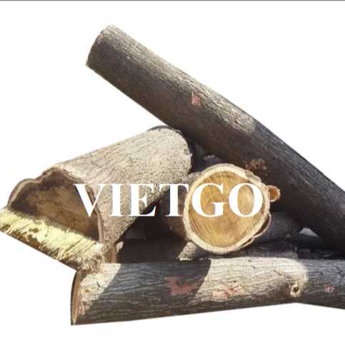 Thương vụ xuất khẩu sản phẩm gỗ keo tròn đến thị trường Trung Quốc