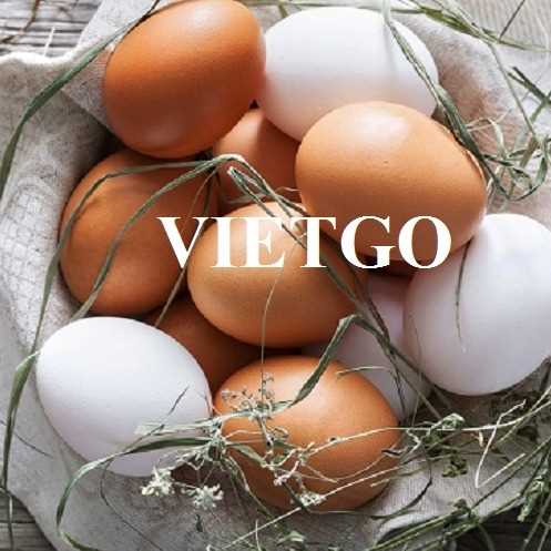 Cơ hội hợp tác xuất khẩu sản phẩm trứng gà đến thị trường UAE