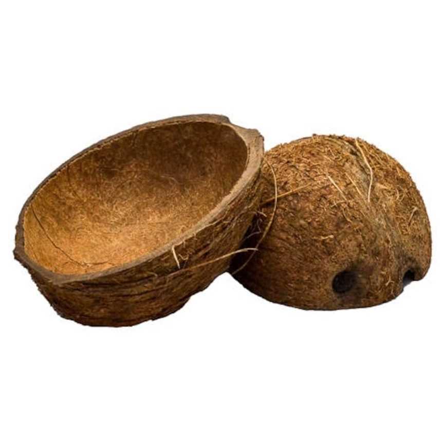 I want to buy Coconut Halves