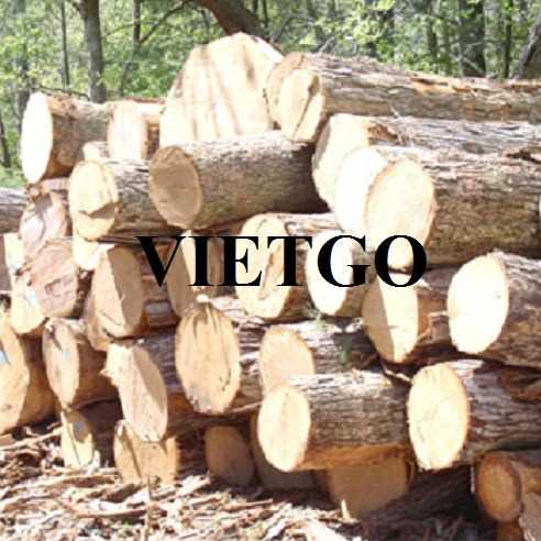 Cơ hội hợp tác xuất khẩu gỗ cao su tròn tới thị trường Ấn Độ