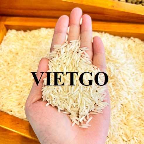 Cơ hội hợp tác xuất khẩu gạo Basmati và gạo thơm lài đến thị trường Hoa Kỳ và Ý