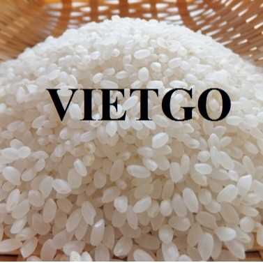 Cơ hội hợp tác xuất khẩu gạo trắng hạt ngắn và hạt dài đến thị trường Oman