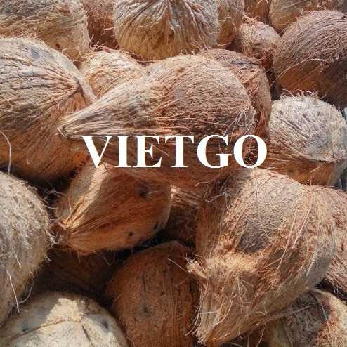 Cơ hội hợp tác xuất khẩu dừa khô lột vỏ đến thị trường UAE