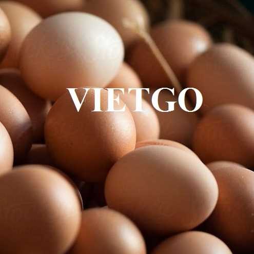 Thương vụ xuất khẩu trứng đến thị trường UAE