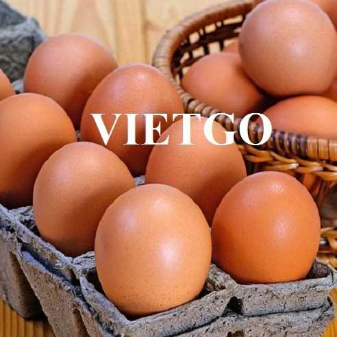 Cơ hội hợp tác xuất khẩu sản phẩm trứng tới thị trường UAE