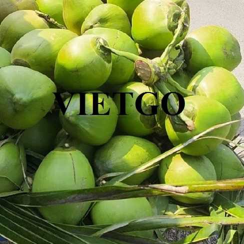 Cơ hội xuất khẩu dừa sang thị trường Maldives
