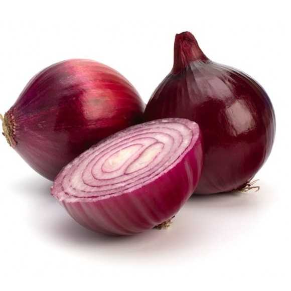 i'm looking for onion suppliers