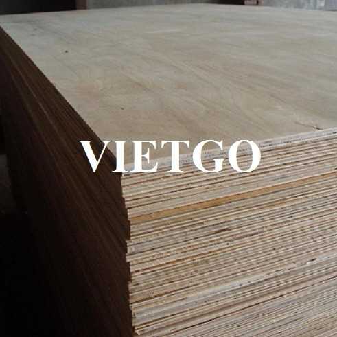 Thương vụ xuất khẩu gỗ dán sang thị trường Ấn Độ
