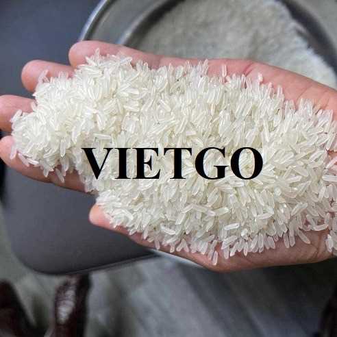Cơ hội hợp tác xuất khẩu gạo thơm DT8 sang thị trường Philippines