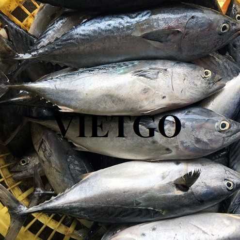 Cơ hội xuất khẩu cá ngừ sang thị trường UAE