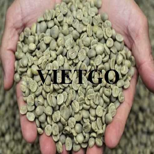 Cơ hội xuất khẩu cà phê Arabica sang thị trường Ai Cập