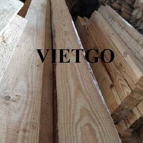Thương vụ xuất khẩu gỗ thông xẻ sang thị trường Ấn Độ 