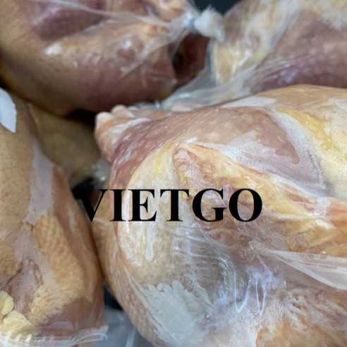 Thương vụ hợp tác xuất khẩu thịt gà đông lạnh sang thị trường Qatar