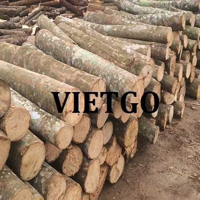 Thương vụ xuất khẩu sản phẩm gỗ thông tròn đến thị trường Malaysia