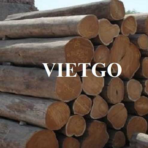 Thương vụ xuất khẩu gỗ teak tròn sang thị trường Ấn Độ