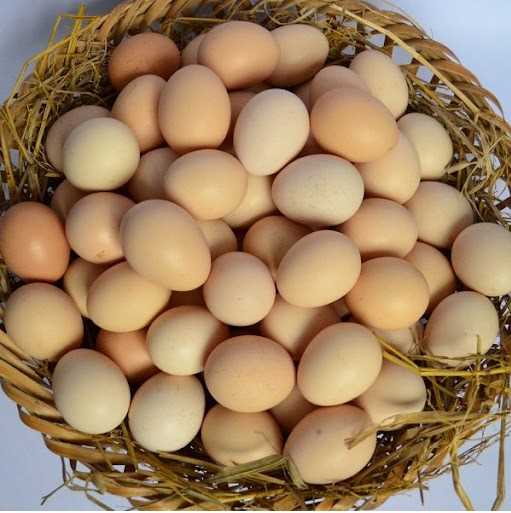 Cần tìm đơn vị vận tải đường biển sản phẩm Trứng sang thị trường Qatar