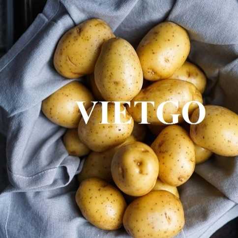 Cơ hội xuất khẩu khoai tây sang thị trường Li-băng