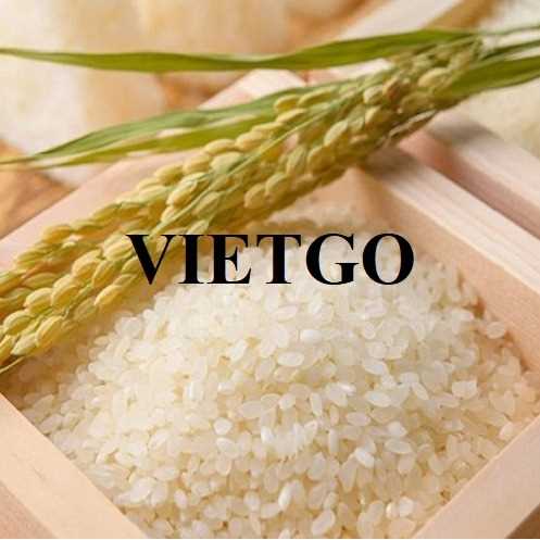 Cơ hội hợp tác xuất khẩu gạo đến thị trường Albania
