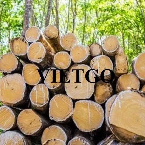 Thương vụ xuất khẩu gỗ cao su tròn sang thị trường Ấn Độ