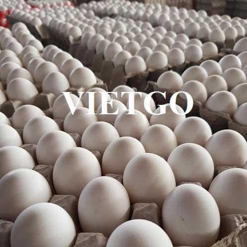 Cơ hội xuất khẩu trứng sang thị trường UAE