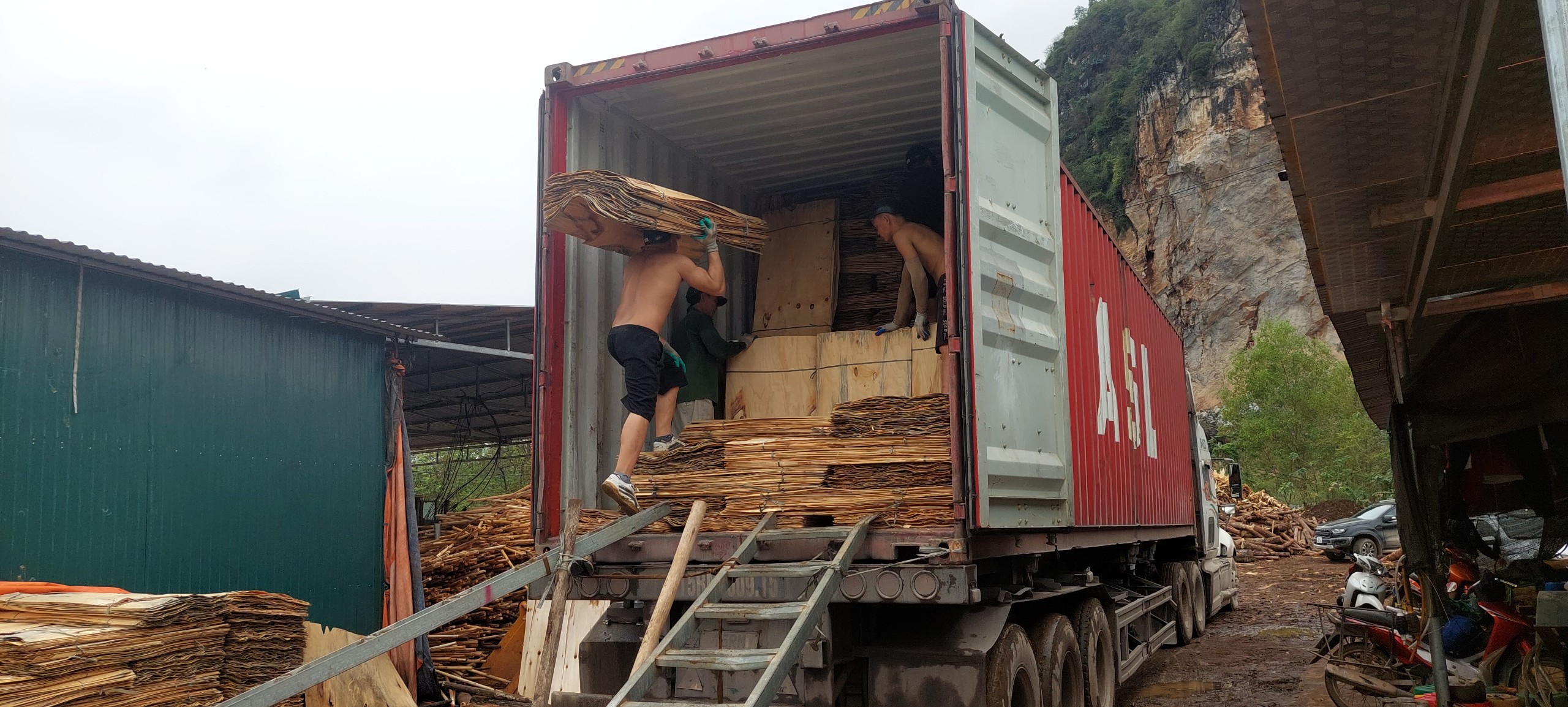 Cần Tìm Công ty FWD vận tải hàng Ván bóc đến cảng Panipat, Ấn Độ