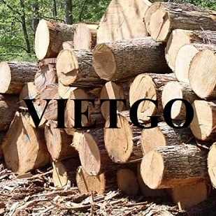 Thương vụ xuất khẩu gỗ cao su tròn sang thị trường Ấn Độ