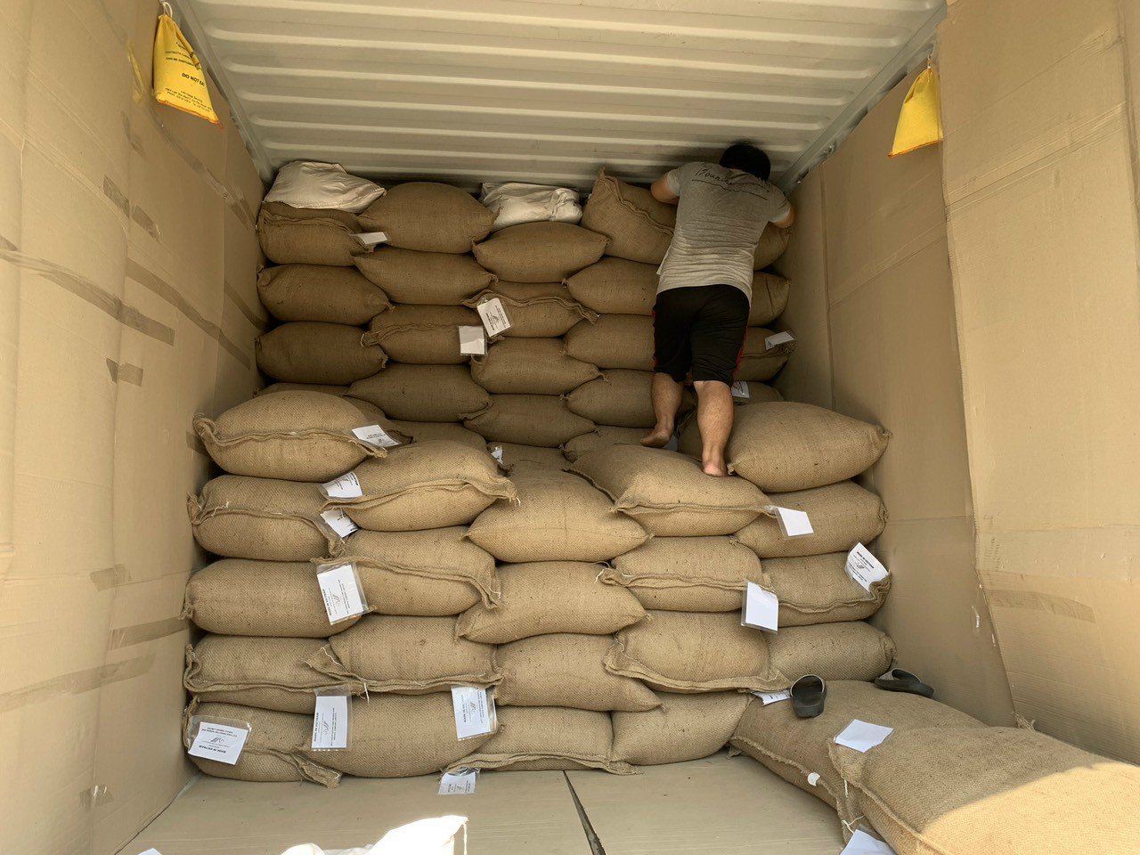 Cần tìm đơn vị vận tải vận chuyển hàng cà phê đi Thổ Nhĩ Kỳ