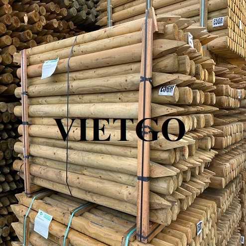 Cơ hội hợp tác xuất khẩu cọc gỗ đến thị trường Úc