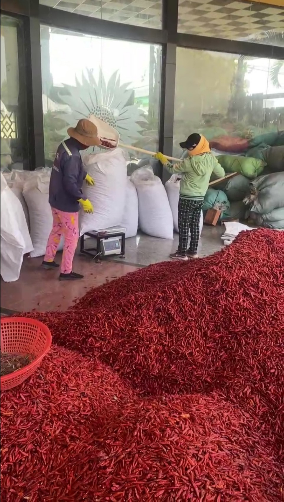 Tìm cước vận chuyển cho đơn hàng ớt khô từ Quảng Ngãi đến Cảng Chittagong, Bangladesh