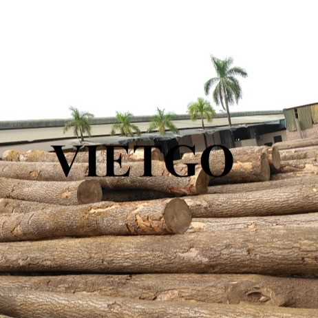 Thương vụ xuất khẩu sản phẩm gỗ thông tròn đến thị trường Ấn Độ