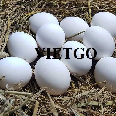 Cơ hội xuất khẩu trứng sang thị trường UAE