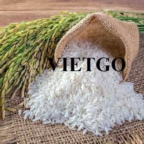 Cơ hội hợp tác xuất khẩu gạo trắng tới thị trường Indonesia
