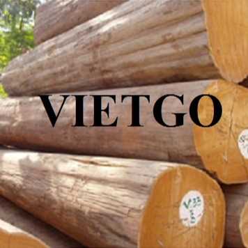 Thương vụ xuất khẩu gỗ teak tròn sang thị trường Ấn Độ