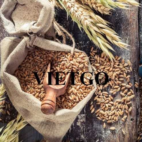 Cơ hội hợp tác xuất khẩu lúa mì sang thị trường Thổ Nhĩ Kỳ