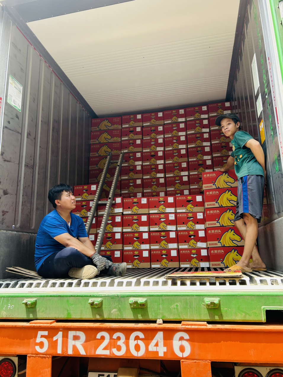 Cần tìm đơn vị vận tải vận chuyển sản phẩm chuối từ Thanh Bình, huyện Trảng Bom đi UAE