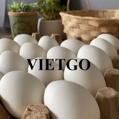 Thương vụ xuất khẩu trứng sang thị trường Qatar