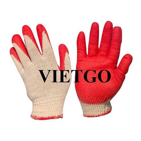 [Cập nhật thông tin vị khách hàng] Cơ hội giao thương xuất khẩu găng tay bảo hộ lao động sang thị trường Hàn Quốc