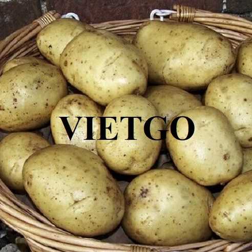 Cơ hội xuất khẩu khoai tây sang thị trường Georgia