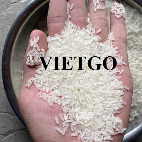 Cơ hội hợp tác xuất khẩu gạo thơm DT8 sang thị trường Philippines. 