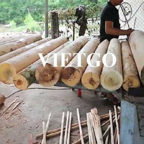 Cơ hội xuất khẩu gỗ bạch đàn tròn sang thị trường Ấn Độ