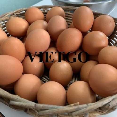 Cơ hội xuất khẩu trứng nâu đến thị trường UAE