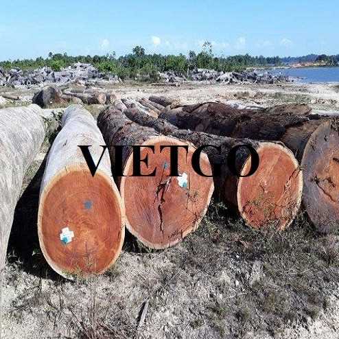 Cơ hội xuất khẩu gỗ gõ đỏ sang thị trường Na Uy