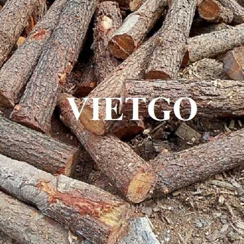 Thương vụ xuất khẩu gỗ keo tròn đến thị trường Ấn Độ 