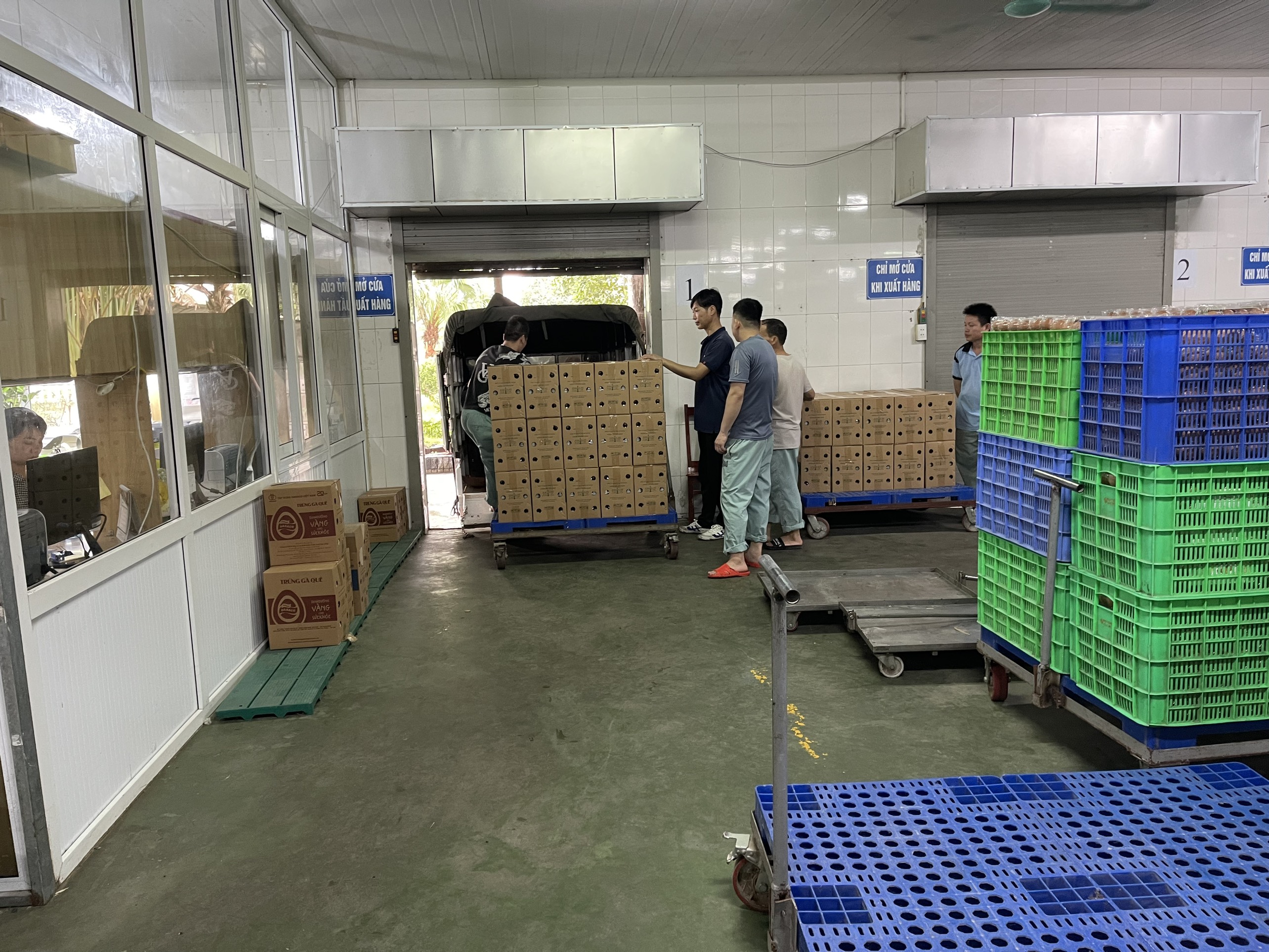 Cần tìm đơn vị vận tải vận chuyển mặt hàng trứng  đi Oman