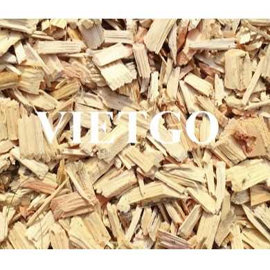 Thương vụ xuất khẩu gỗ vụn sang thị trường Ấn Độ